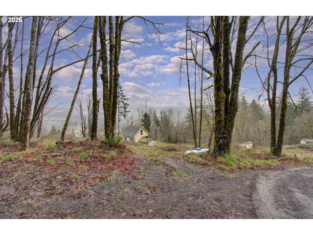 498 BRYANT HILL Rd, Woodland, WA 98674