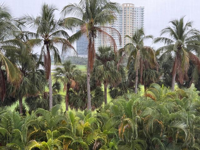 300 NE 14th Avenue 411, Hallandale Beach, FL 33009