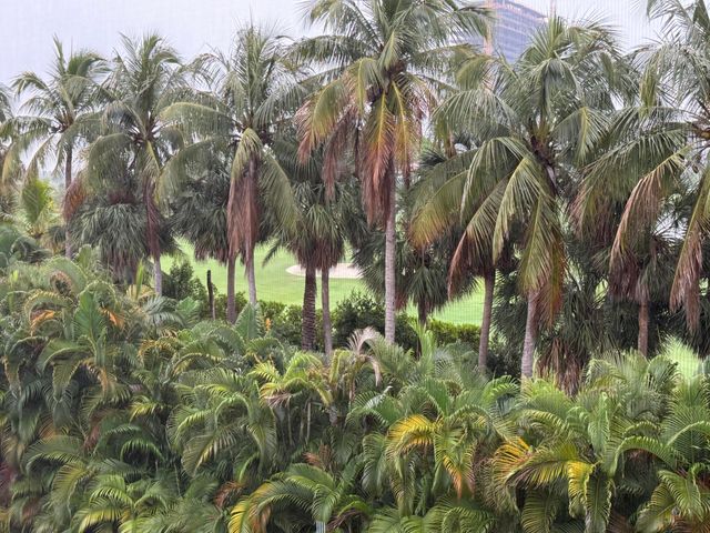 300 NE 14th Avenue 411, Hallandale Beach, FL 33009