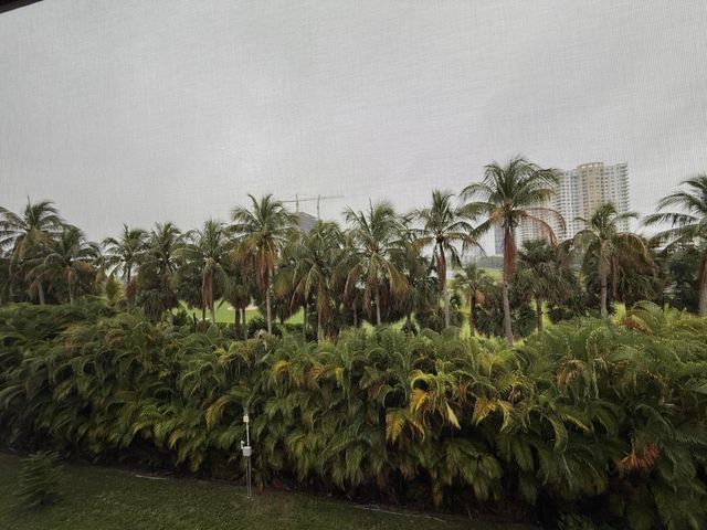 300 NE 14th Avenue 411, Hallandale Beach, FL 33009