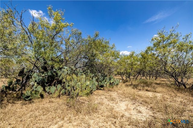 TBD Lot 1 Track Road, Dale, TX 78616