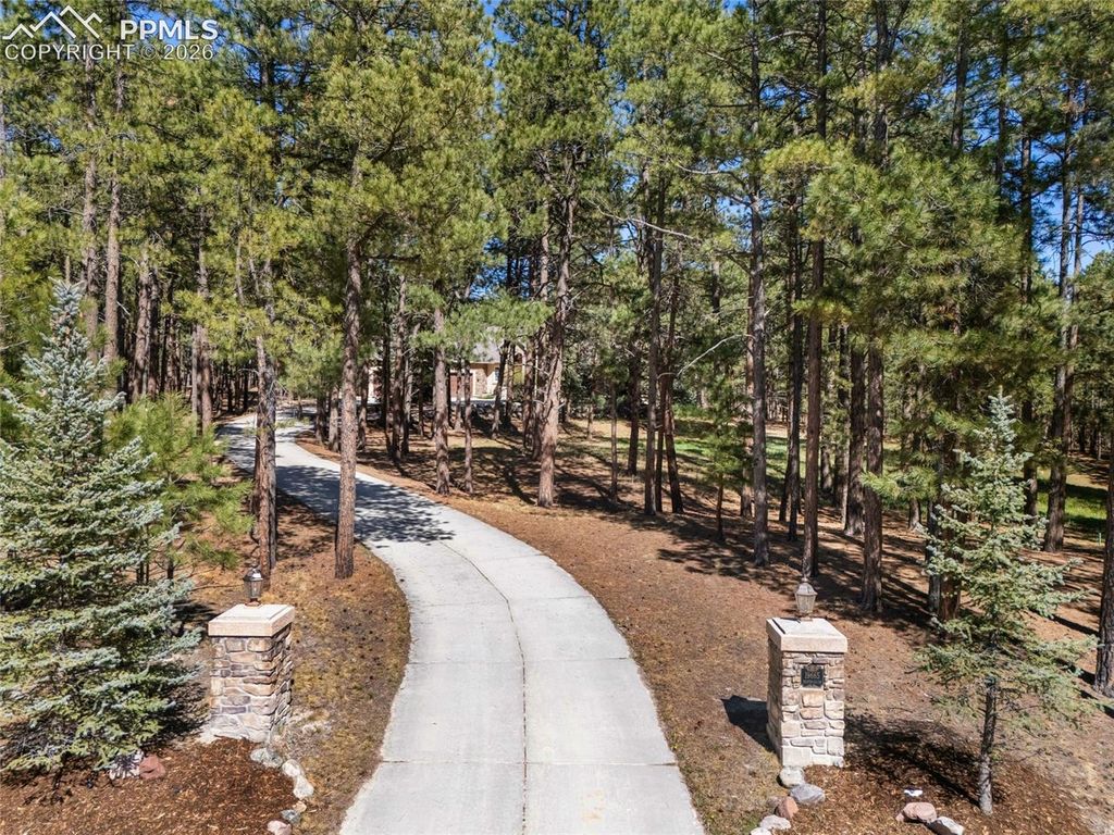 19665 Desparado Drive, Colorado Springs, CO 80908 — photo 3