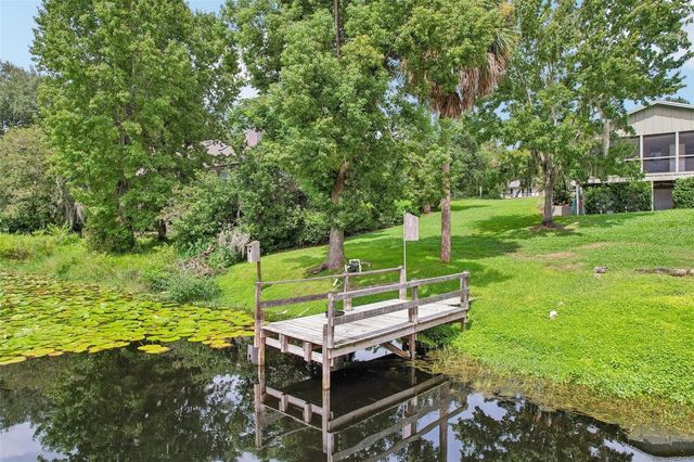 1460 GROVE STREET, Eustis, FL 32726
