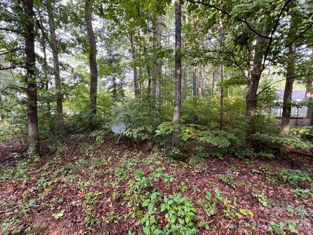 0 Hayes Waters Road 2, Morganton, NC 28655