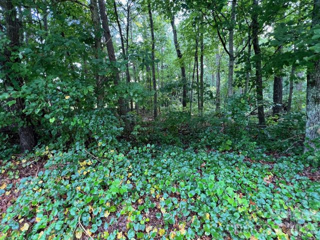 0 Hayes Waters Road 2, Morganton, NC 28655