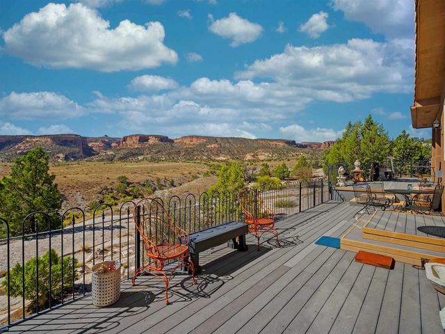 945 Prince Court, Fruita, CO 81521