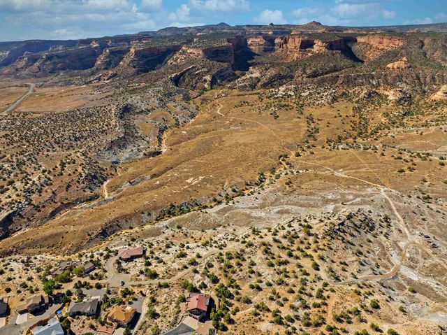 945 Prince Court, Fruita, CO 81521