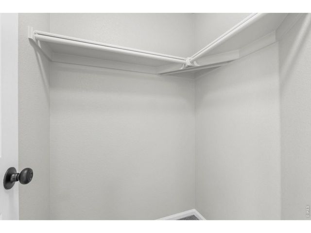 16559 Marion St, Thornton, CO 80602