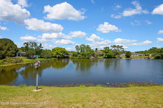 5239 Eagle Drive, Holiday, FL 34690