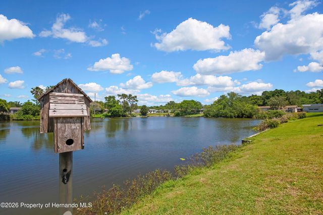 5239 Eagle Drive, Holiday, FL 34690