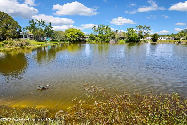 5239 Eagle Drive, Holiday, FL 34690