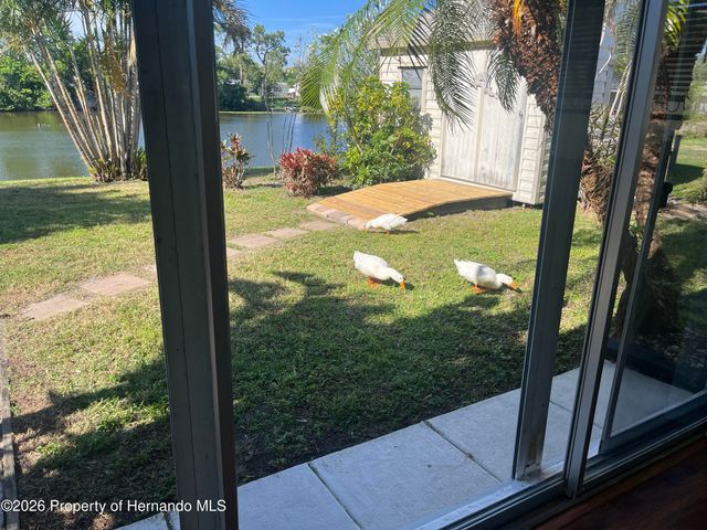 5239 Eagle Drive, Holiday, FL 34690