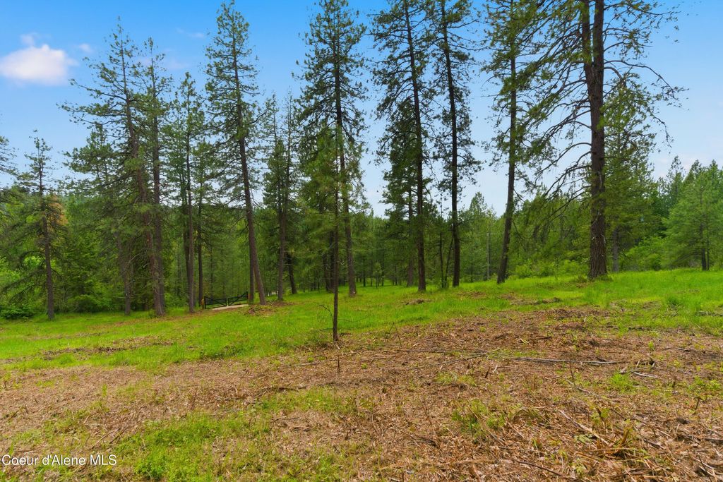 Parcel A S Dunlap Rd, Harrison, ID 83833 photo 1