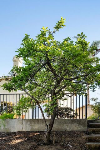 2231 Quail Bluff Court, San Jose, CA 95121