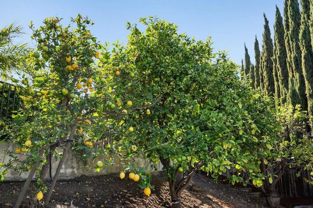 2231 Quail Bluff Court, San Jose, CA 95121