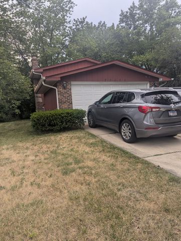 23016 Valley Drive, Richton Park, IL 60471