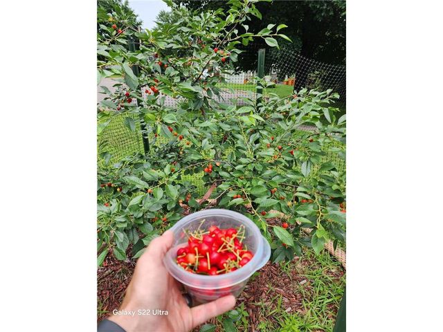 890 Maple Drive, Osceola, WI 54020