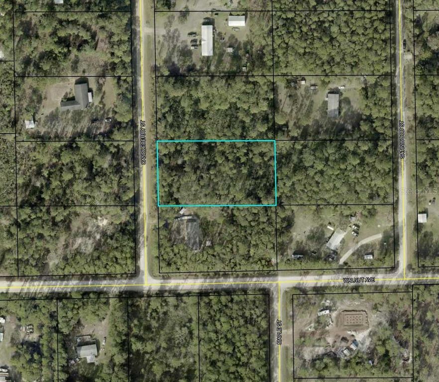 1935 CANDLEBERRY STREET, Bunnell, FL 32110