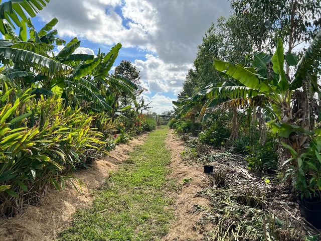 20915 Antoinette Street, Loxahatchee, FL 33470