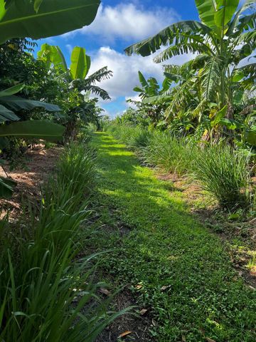 20915 Antoinette Street, Loxahatchee, FL 33470