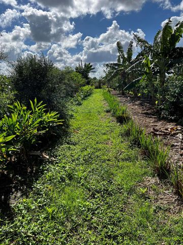 20915 Antoinette Street, Loxahatchee, FL 33470