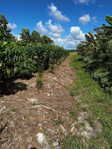 20915 Antoinette Street, Loxahatchee, FL 33470