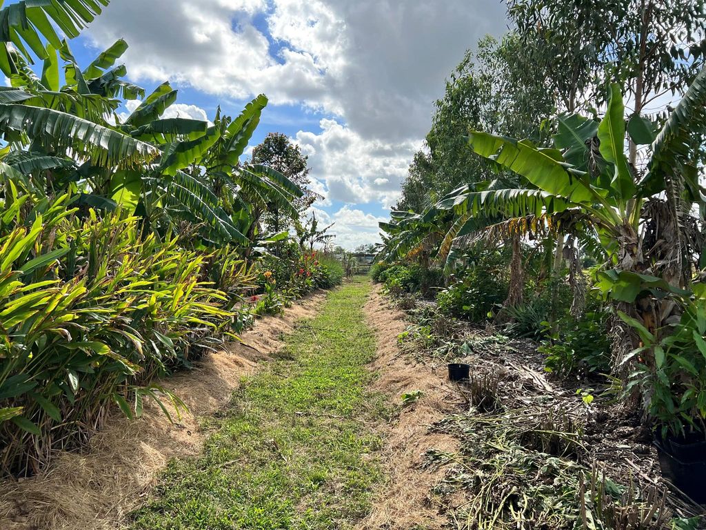 20915 Antoinette Street, Loxahatchee, FL 33470