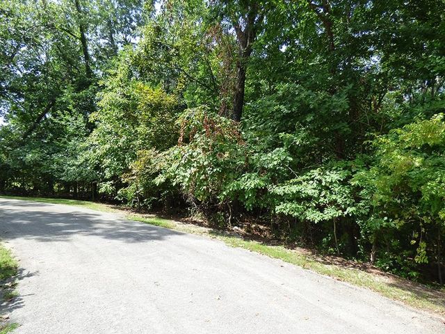 Alamo Trail, Cherokee Village, AR 72529