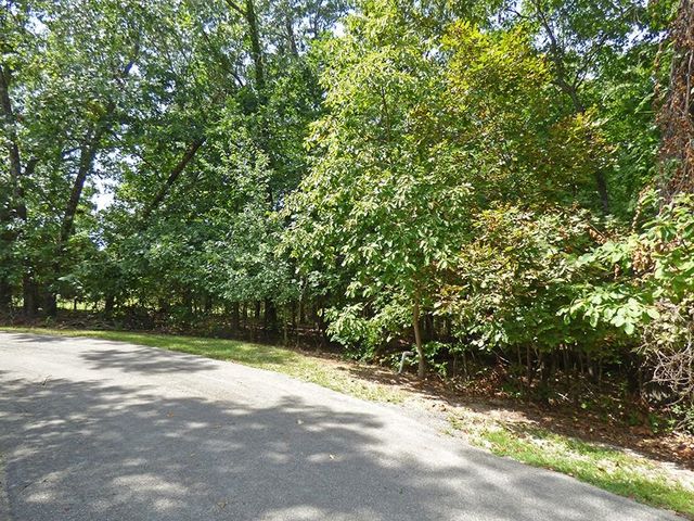 Alamo Trail, Cherokee Village, AR 72529