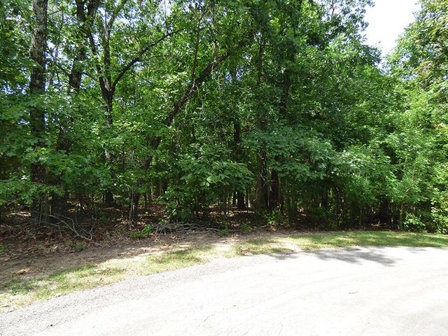 Alamo Trail, Cherokee Village, AR 72529