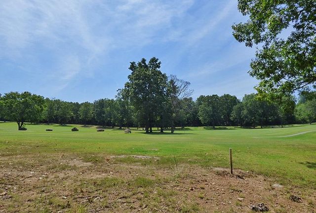 Alamo Trail, Cherokee Village, AR 72529