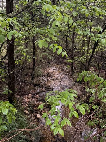 Hannah Lane, Eureka Springs, AR 72631