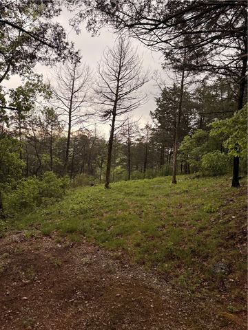 Hannah Lane, Eureka Springs, AR 72631
