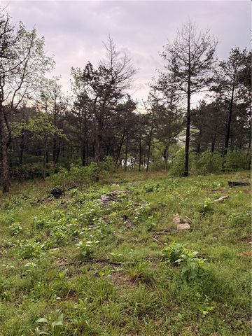 Hannah Lane, Eureka Springs, AR 72631