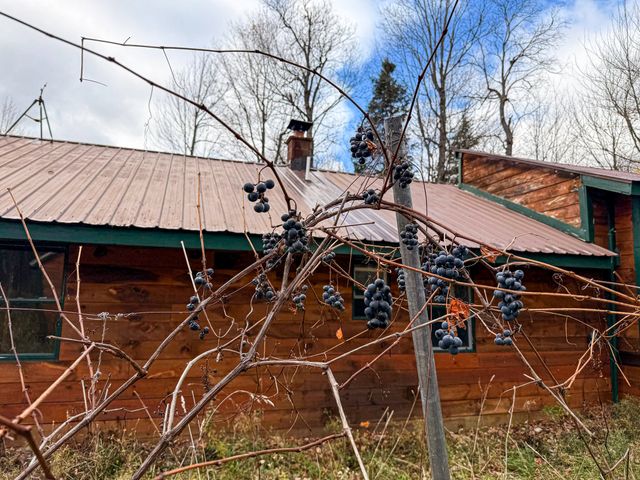 709 Reynoldston Road, North Bangor, NY 12966