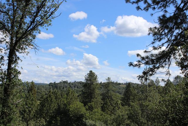 11448 Madrone Ct, Auburn, CA 95602