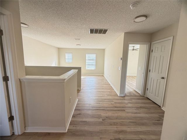 246 CANNA DRIVE, Davenport, FL 33897