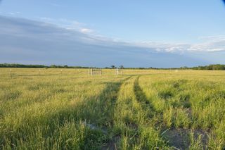 TBD County Road 626, Groesbeck, TX 76642