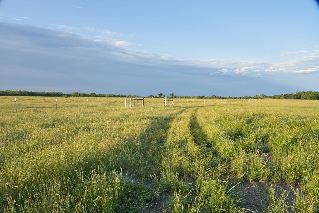 TBD County Road 626, Groesbeck, TX 76642