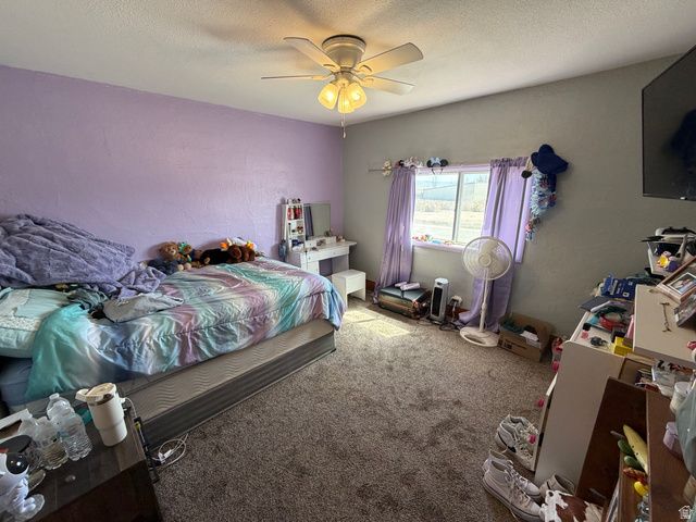 20352 HIGHWAY 89, Montpelier, ID 83254