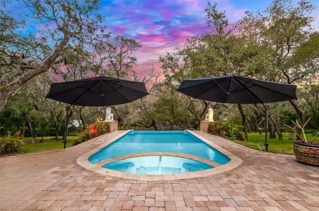 653 OLD EAST LAKE ROAD, Tarpon Springs, FL 34688