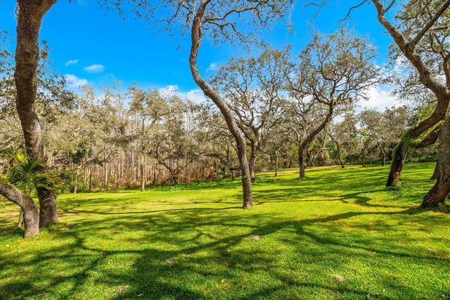 653 OLD EAST LAKE ROAD, Tarpon Springs, FL 34688