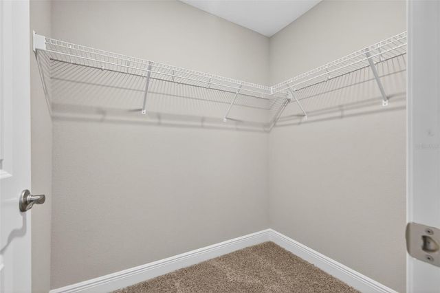 5291 NEIL DRIVE, St Petersburg, FL 33714