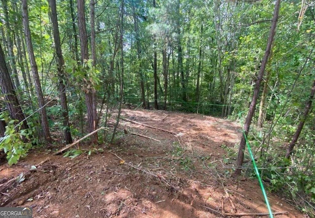 248 Pioneer Trail, Dallas, GA 30132