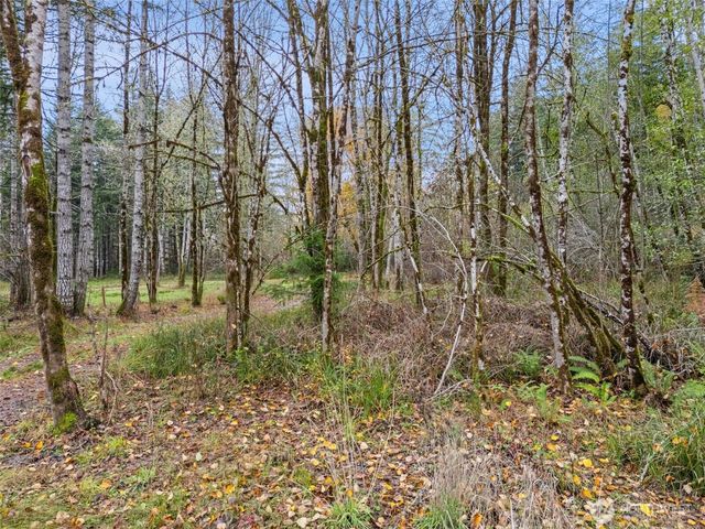 6191 E Pickering Road, Shelton, WA 98584