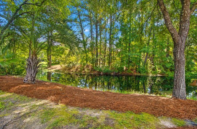 2597 John Boone Court, Mount Pleasant, SC 29466