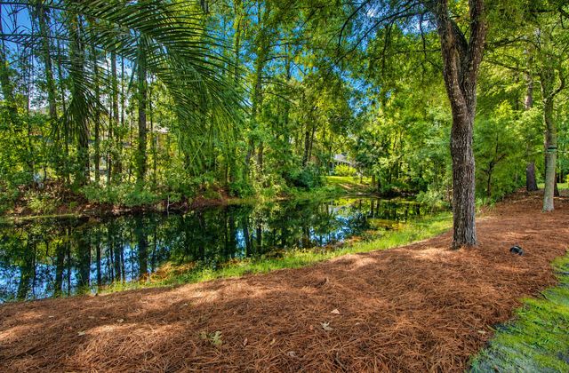 2597 John Boone Court, Mount Pleasant, SC 29466