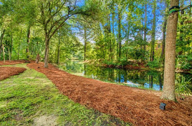 2597 John Boone Court, Mount Pleasant, SC 29466