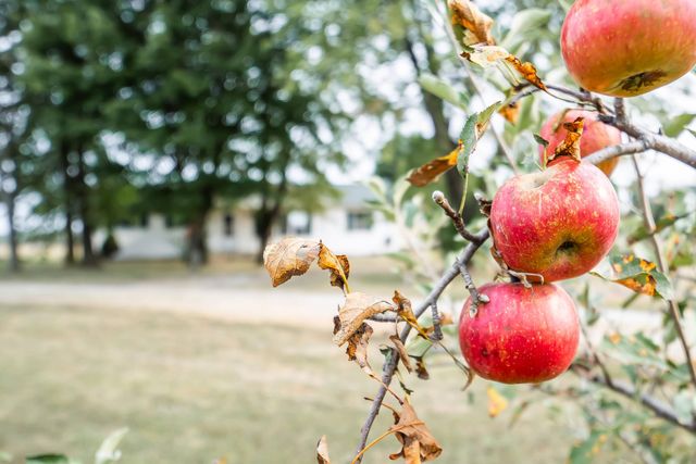 28205 State Highway Nn, Urbana, MO 65767