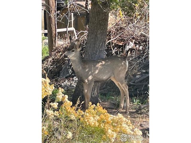 5000 Holiday Dr, Fort Collins, CO 80526